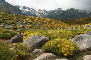 Paisaje de Gredos